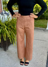 Camel Suede Pull On Pants