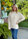 Taupe & Rust Detailed Sweater